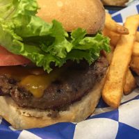 Seahorse Burgers